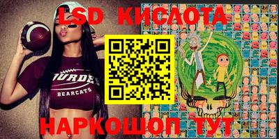 spice Изобильный