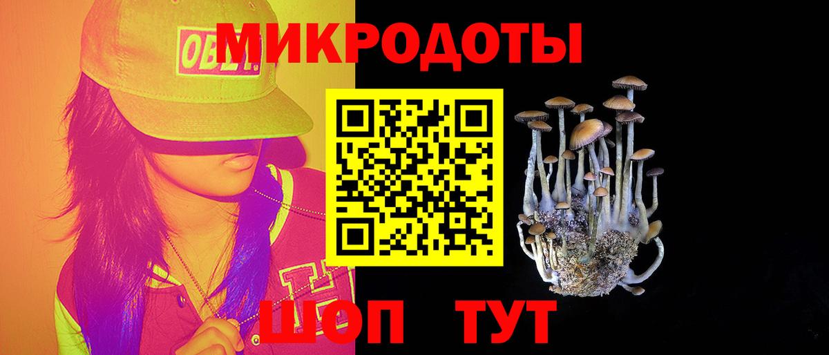 Троицк  Галлюциногенные грибы Psilocybe  где можно купить наркотик  Вход с VPN  Псилоцибиновые грибы прущие грибы 